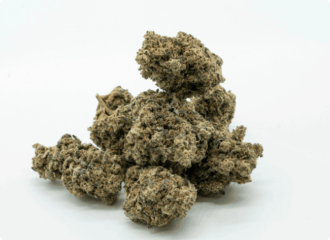 Geerntete Cannabisblüten